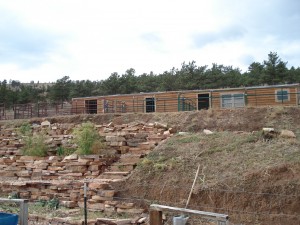 Barn and gardens at Mountain Sky Ranch